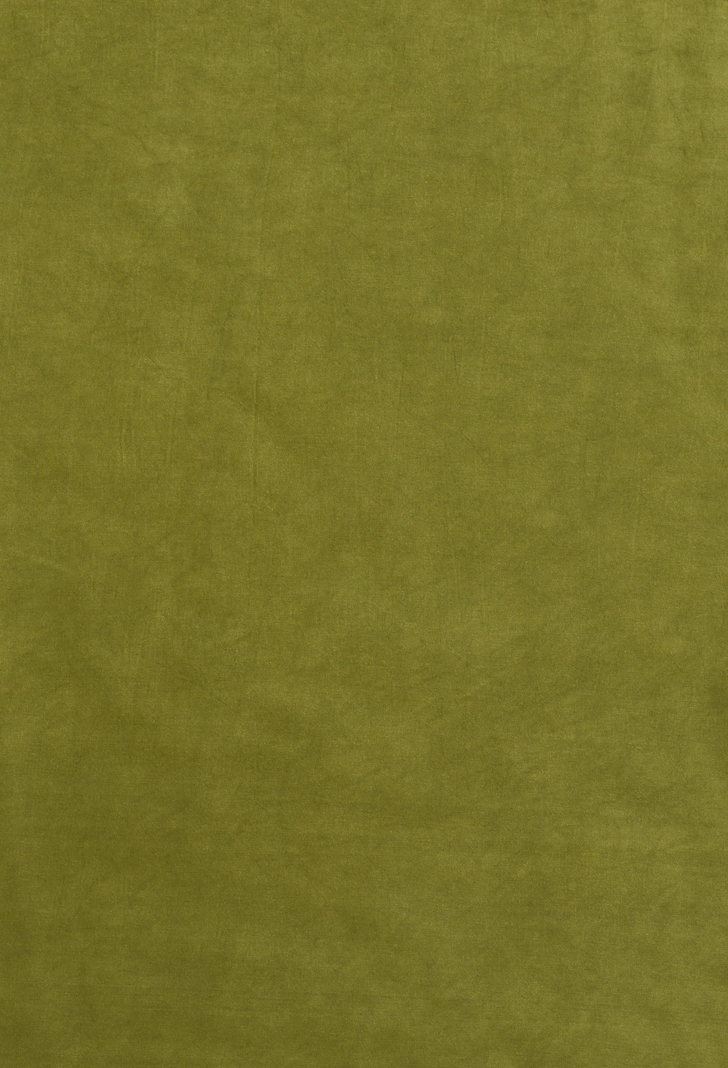 Beautique  Plain Pure Modal Gajji Silk Saree With Zari Pallu Natural dyeing Saree