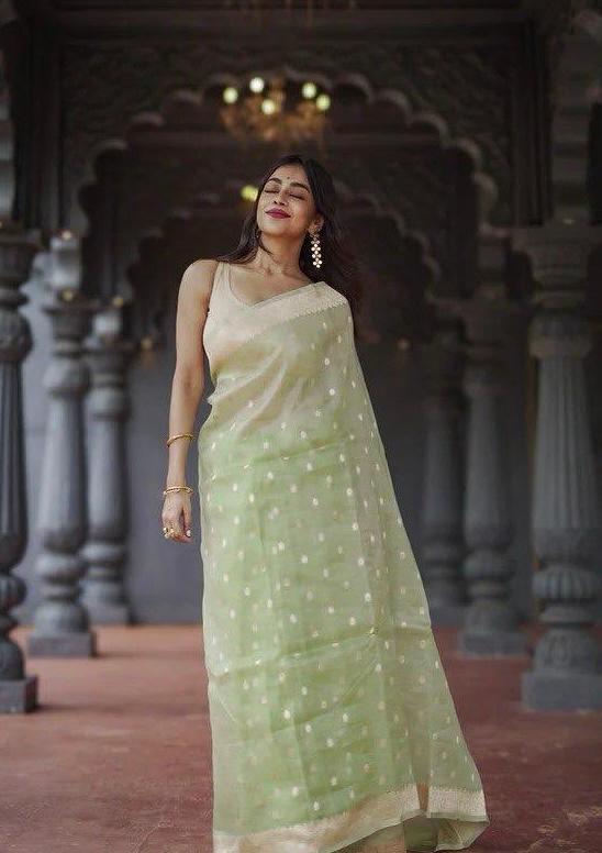 Smart Pista Linen Silk Weaving Saree