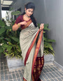 Natural Grey Soft Lichi Silk Saree with Exclusive Jacquard Border