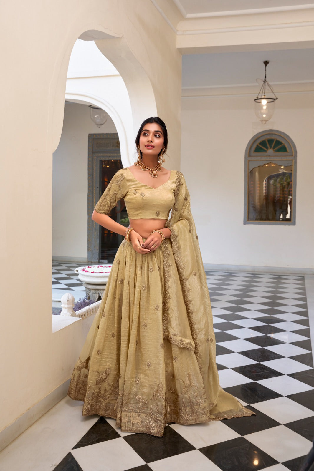 Brown Sequins and Thread Embroidery Work Lehenga Choli