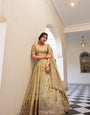 Brown Sequins and Thread Embroidery Work Lehenga Choli