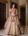 Brown Gold Crush Thread Embroidery Work Lehenga Choli